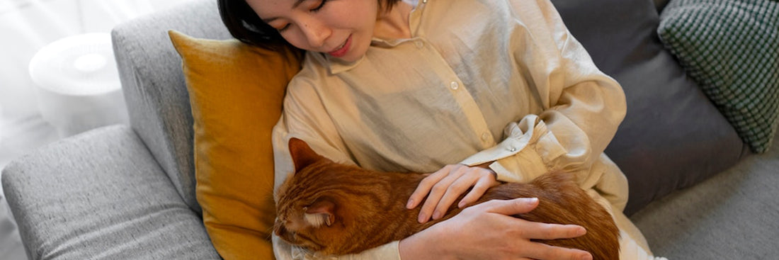 Cat Pregnancy Complications: Key Issues in Pregnancy, Birth, and ...