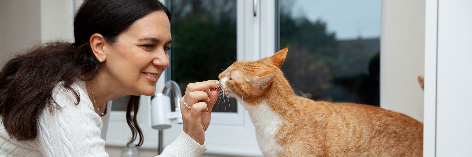 best wormer for cats