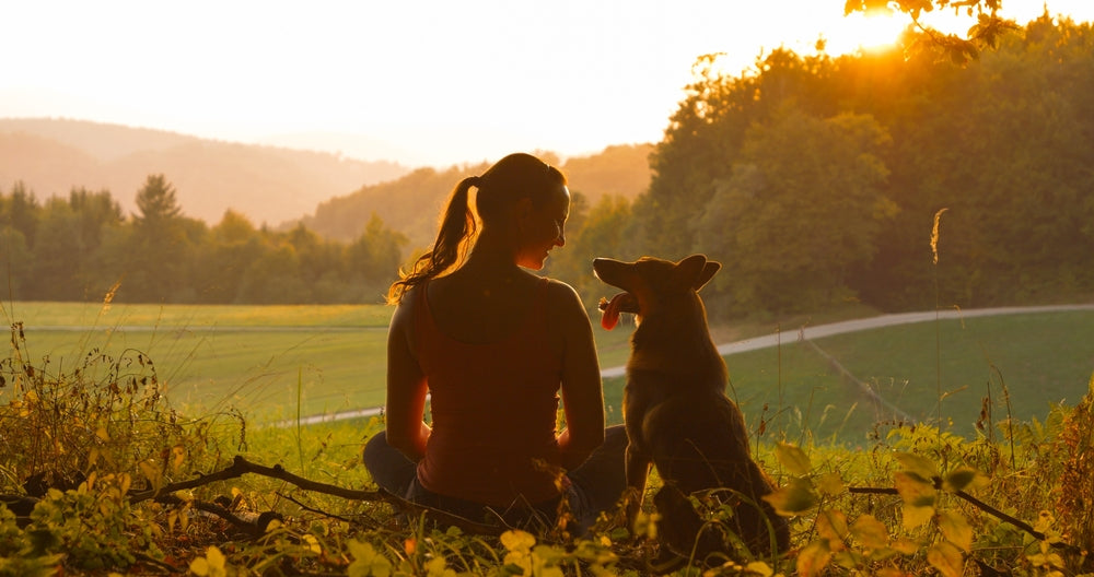 5 Signs Your Dog Loves You