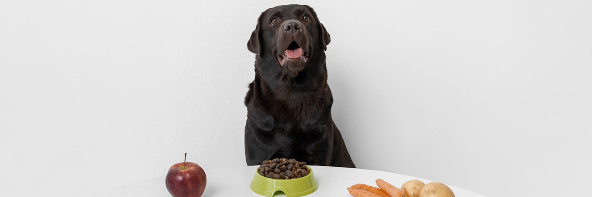 renal diet for dogs