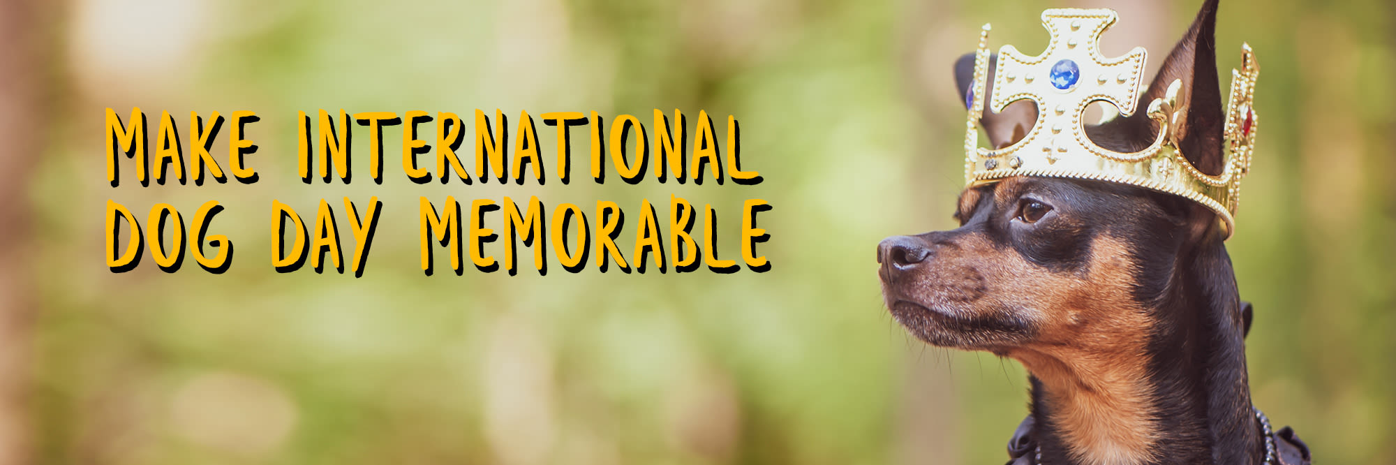 Make International Dog Day memorable