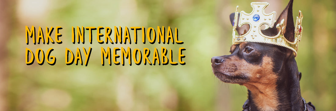 Make International Dog Day memorable