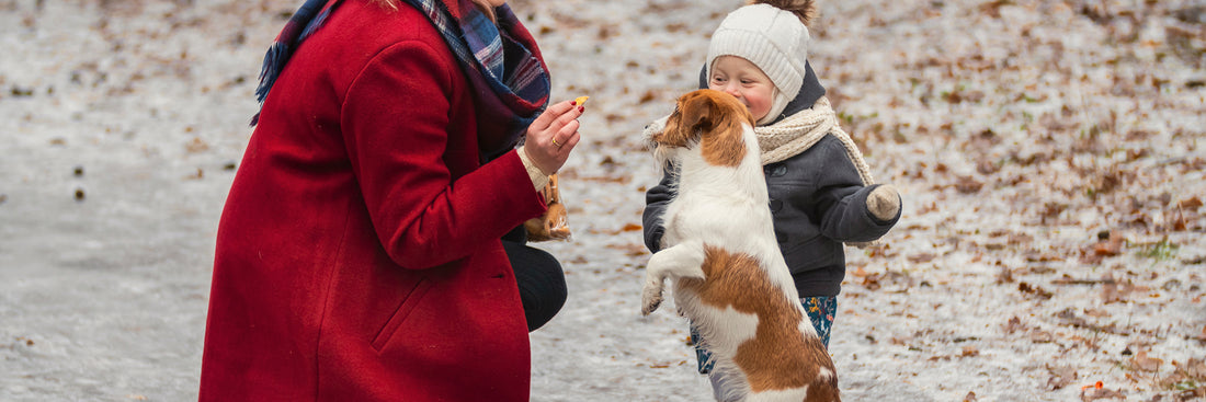 Winter pet care