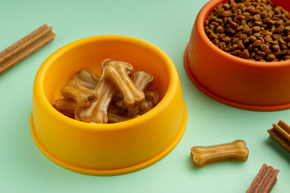 How to Choose High Value Dog Training Treats Without Upsetting Stomachs: Expert Tips