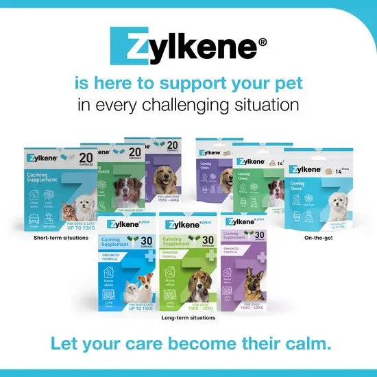 Zylkene® Calming Chews for Dogs