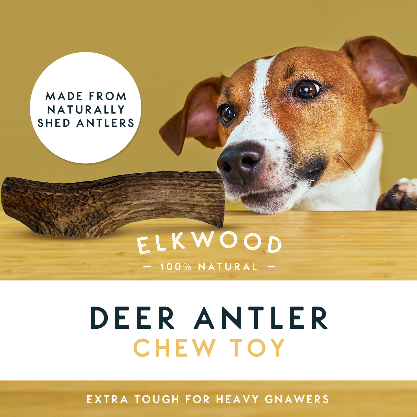 Elkwood 100% Natural Split Antler Chew | Medium