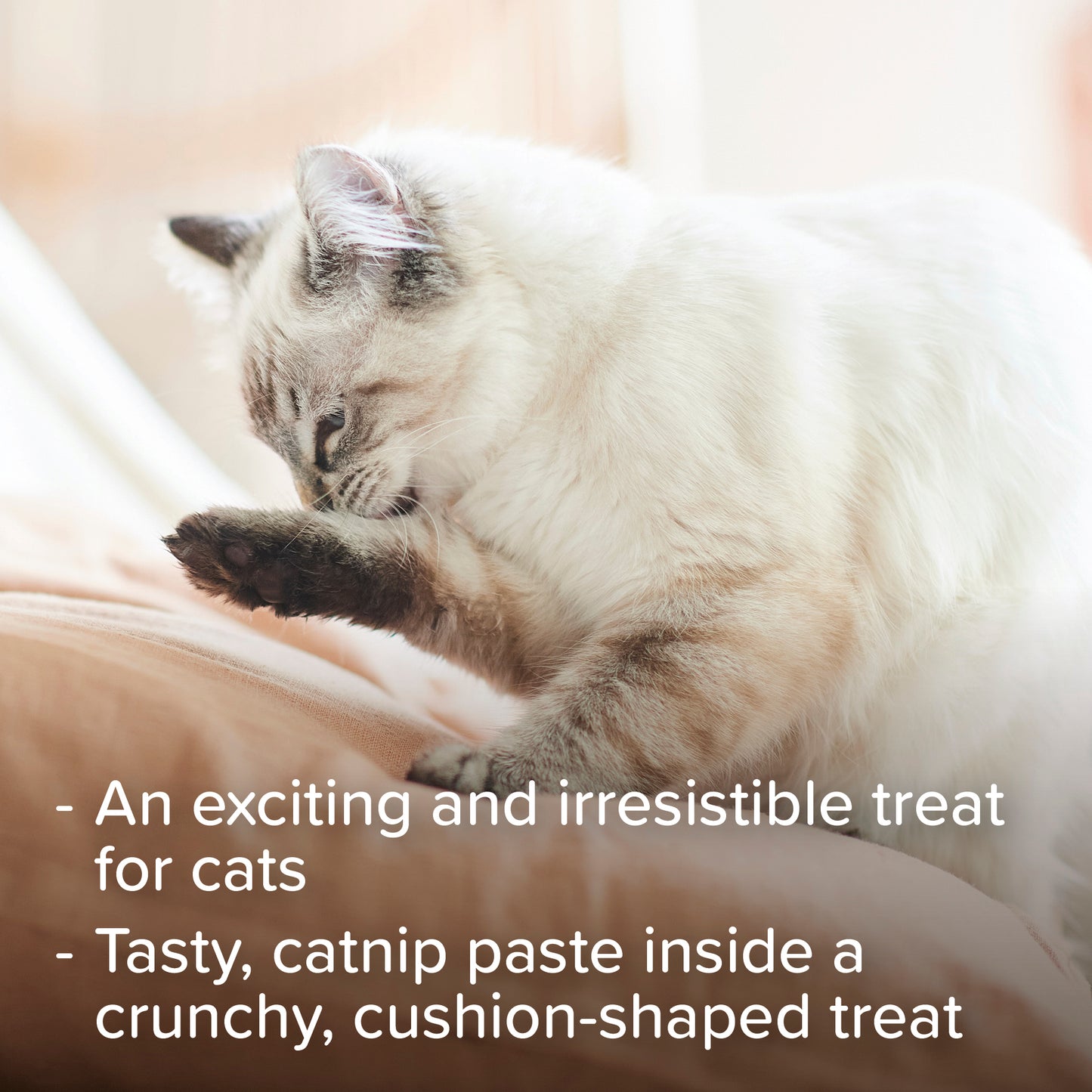 Beaphar Adult Catnip Bits Cat Treats