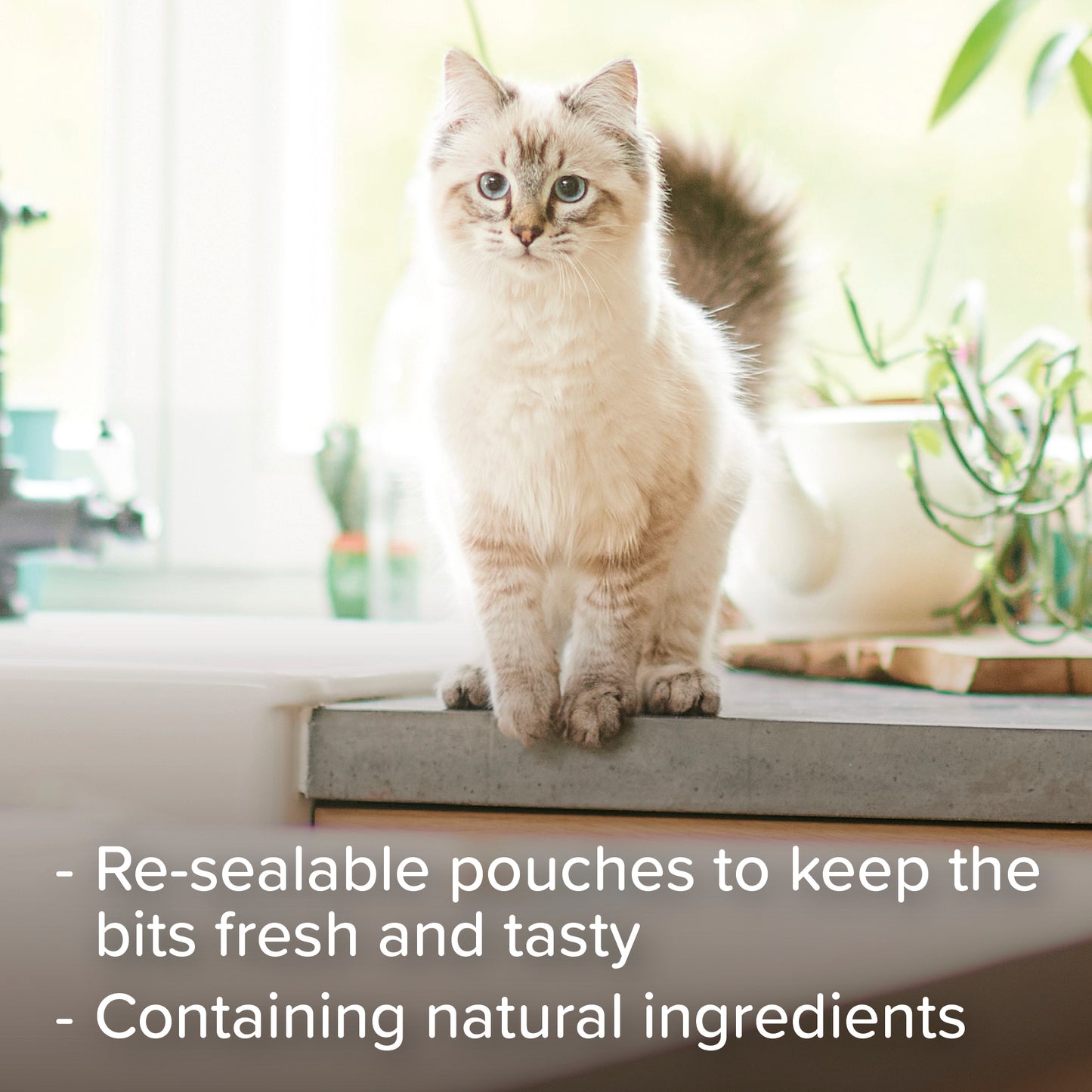 Beaphar Adult Catnip Bits Cat Treats