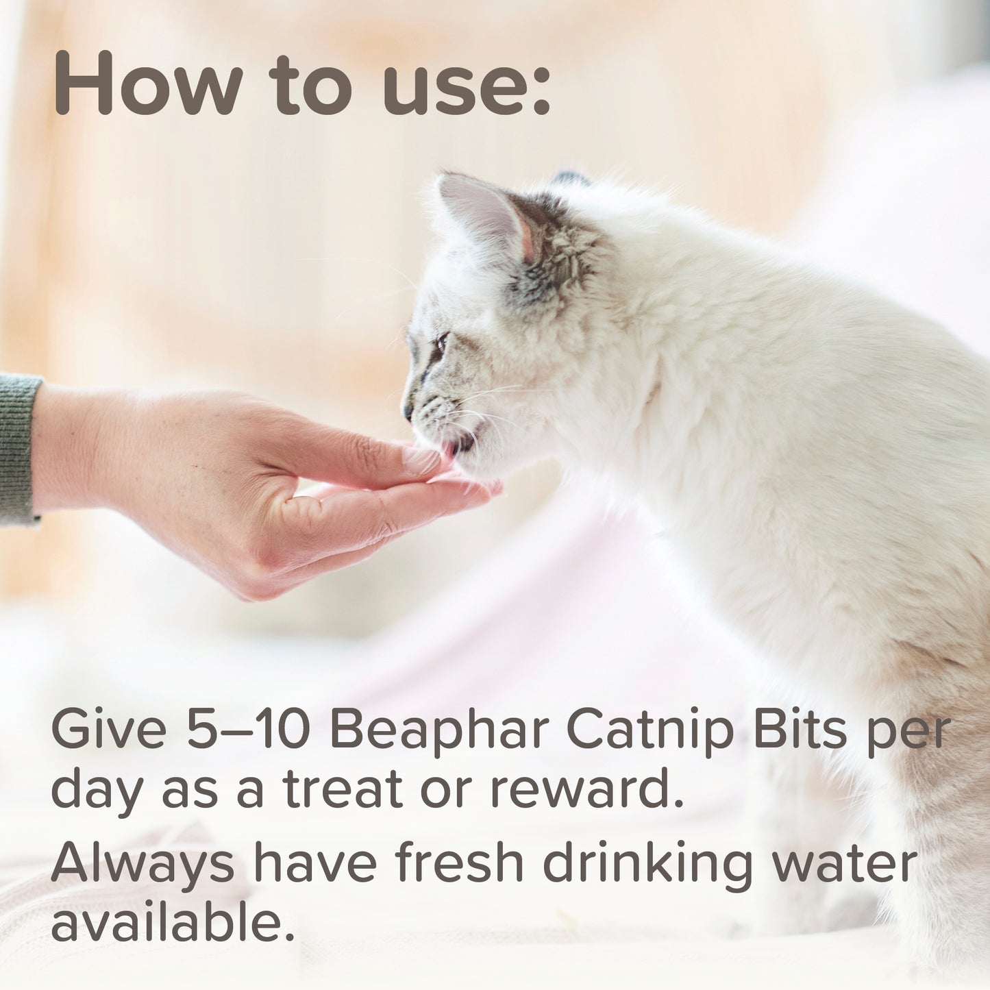 Beaphar Adult Catnip Bits Cat Treats