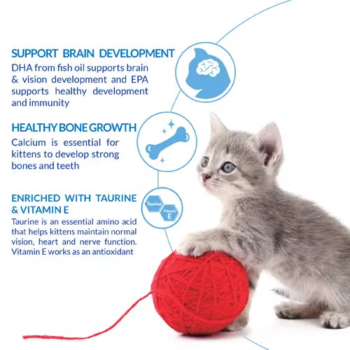 Ciao Churu 4 Pack Kitten Treat - Chicken Recipe - 4 x 14g