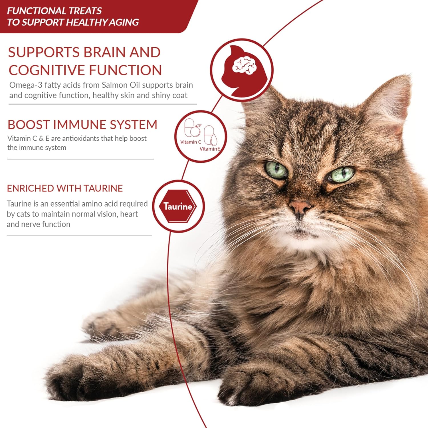 Ciao Churu 4 Pack Senior Cat Treat - Chicken Recipe - 4 x 14g