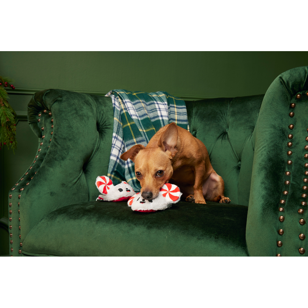 BARK Christmas Peppermice Slippies Dog Toy - One Size