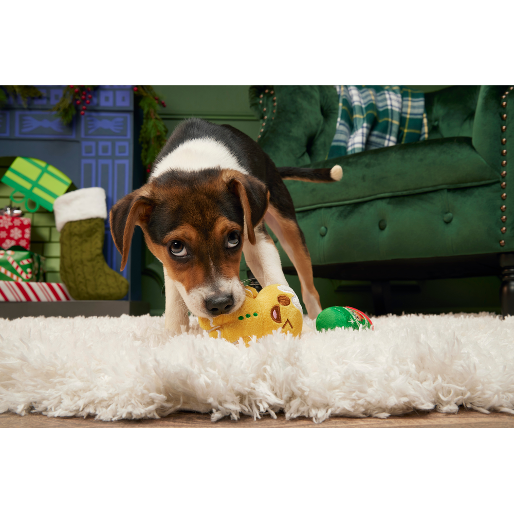BARK Christmas Ginger Boy Brew Dog Toy - One Size
