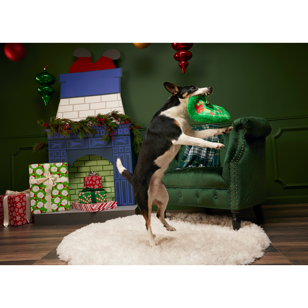 BARK Christmas Wreath Toss Dog Toy - One Size