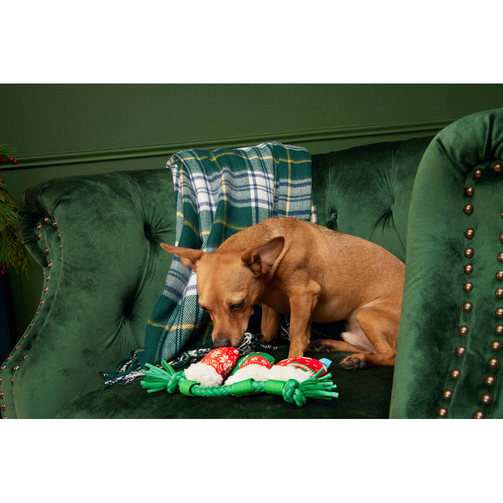 BARK Christmas Stocking Tuggers Dog Toy - One Size