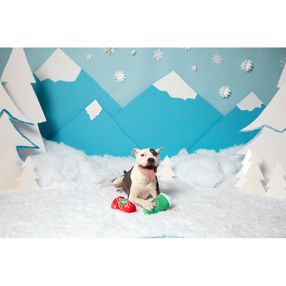 BARK Christmas Fa-la-la-la Lattes Dog Toy - One Size