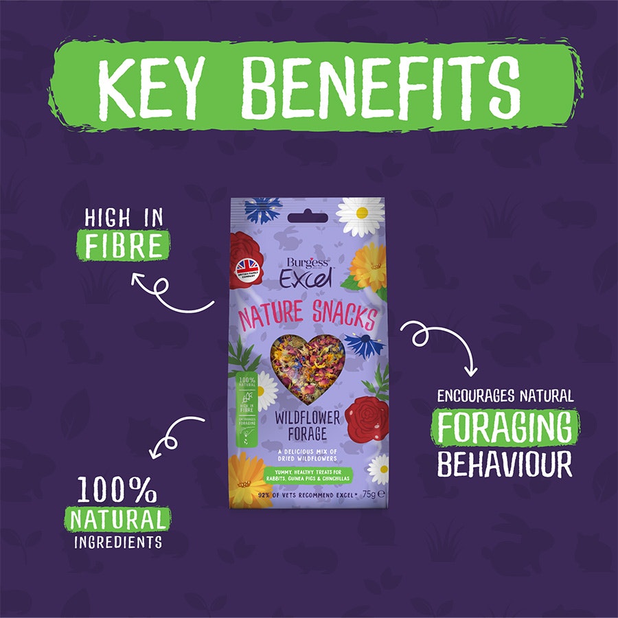 Burgess Excel Nature Snacks Wildflower Forage