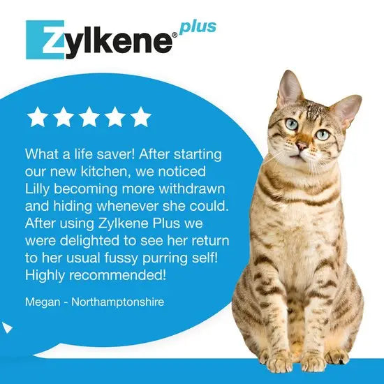 Zylkene® Plus Calming Supplement Capsules For Dogs & Cats