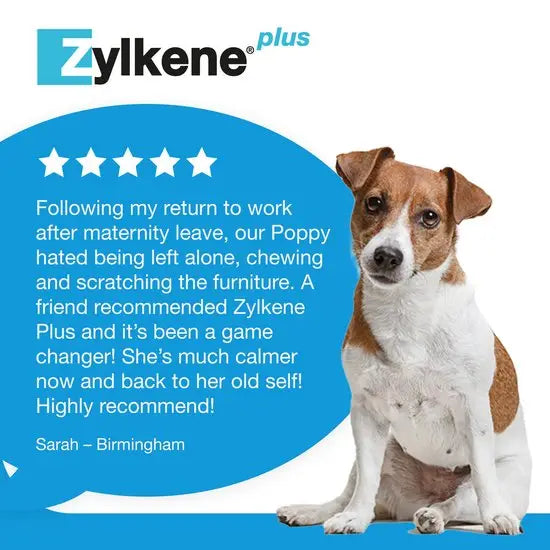 Zylkene® Plus Calming Supplement Capsules For Dogs & Cats