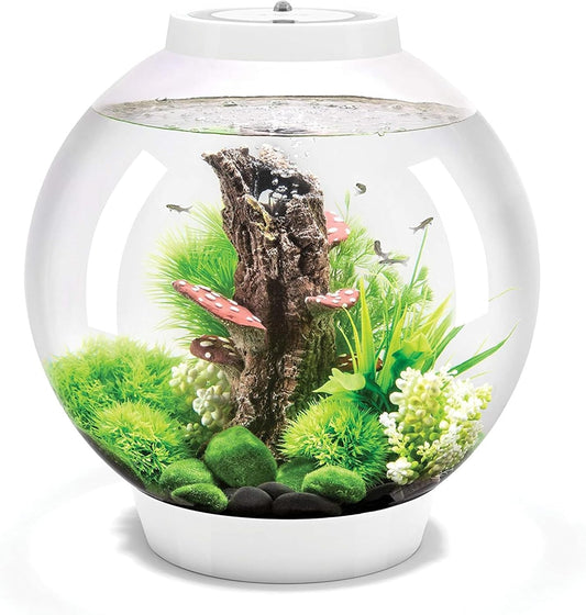 Biorb Classic 30 Aquarium with Multi Colour LED light