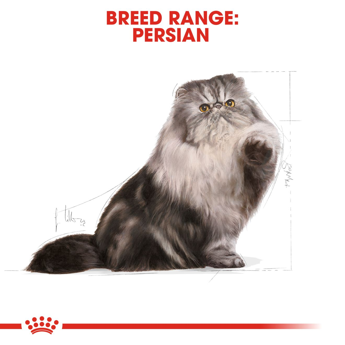 Royal Canin Persian Adult Dry Cat Food - 400g