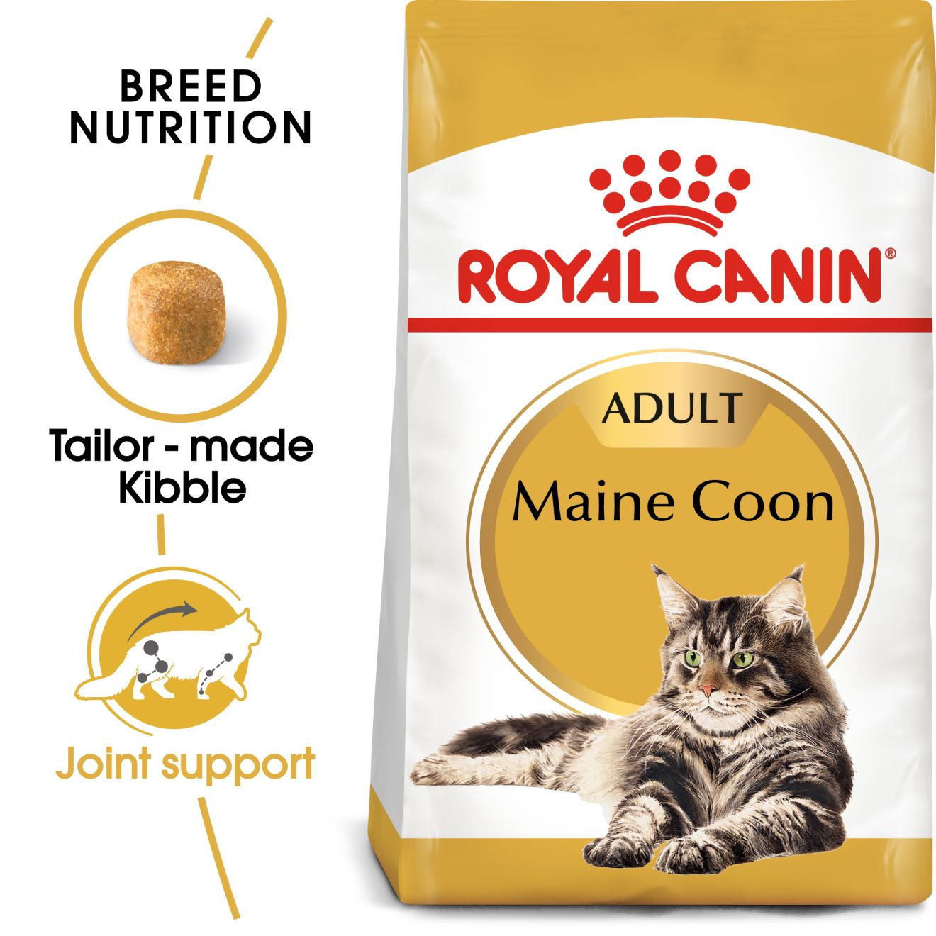 Royal Canin Maine Coon Adult Dry Cat Food - 400g