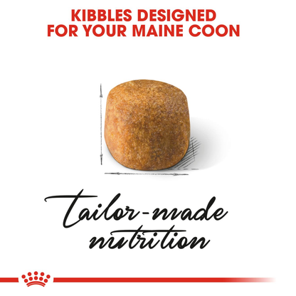 Royal Canin Maine Coon Adult Dry Cat Food - 400g