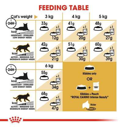 Royal Canin Siamese Adult Dry Cat Food - 10kg