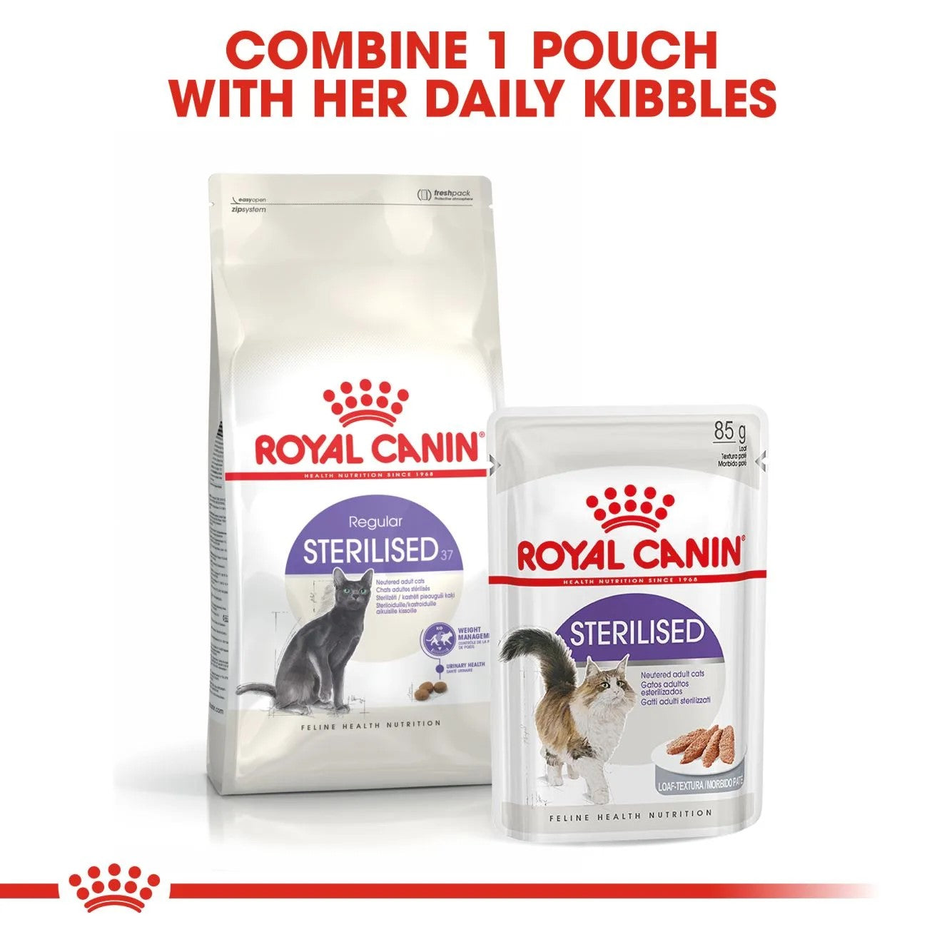 Royal Canin Sterilised 37 Adult Dry Cat Food - 10kg