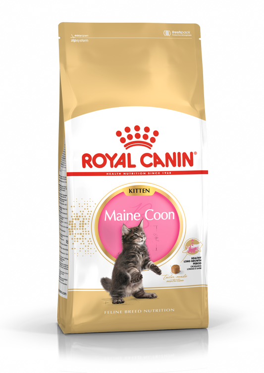 Royal Canin Maine Coon Kitten Dry Cat Food - 400g
