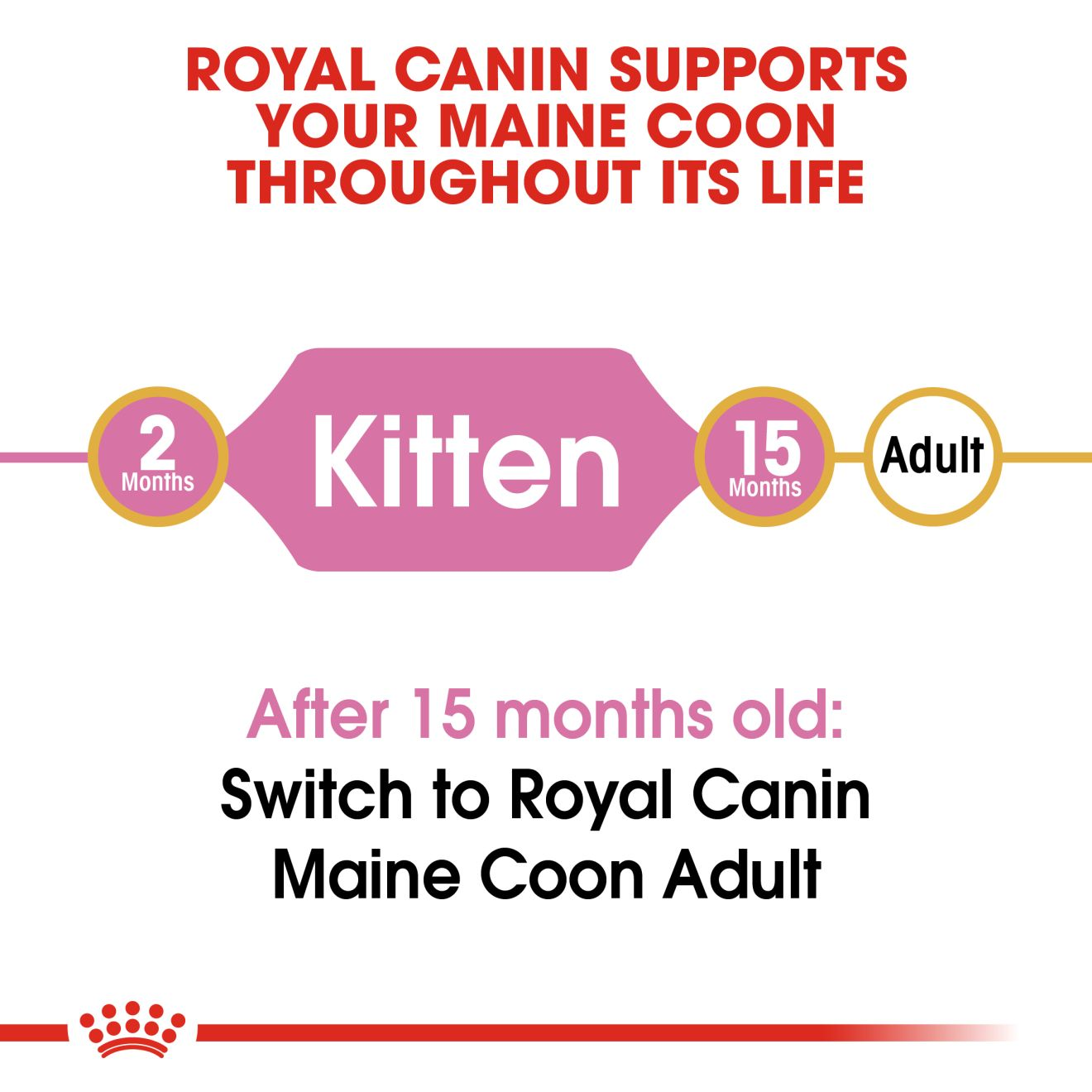 Royal Canin Maine Coon Kitten Dry Cat Food - 400g