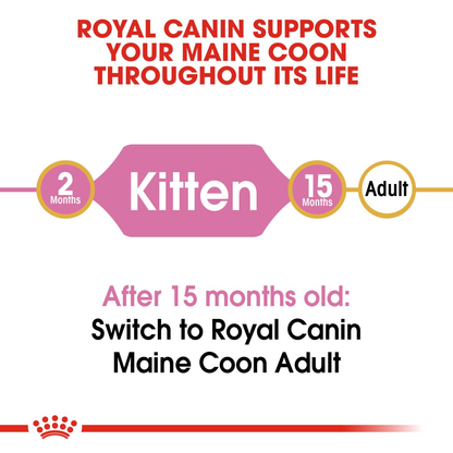 Royal Canin Maine Coon Kitten Dry Cat Food - 400g