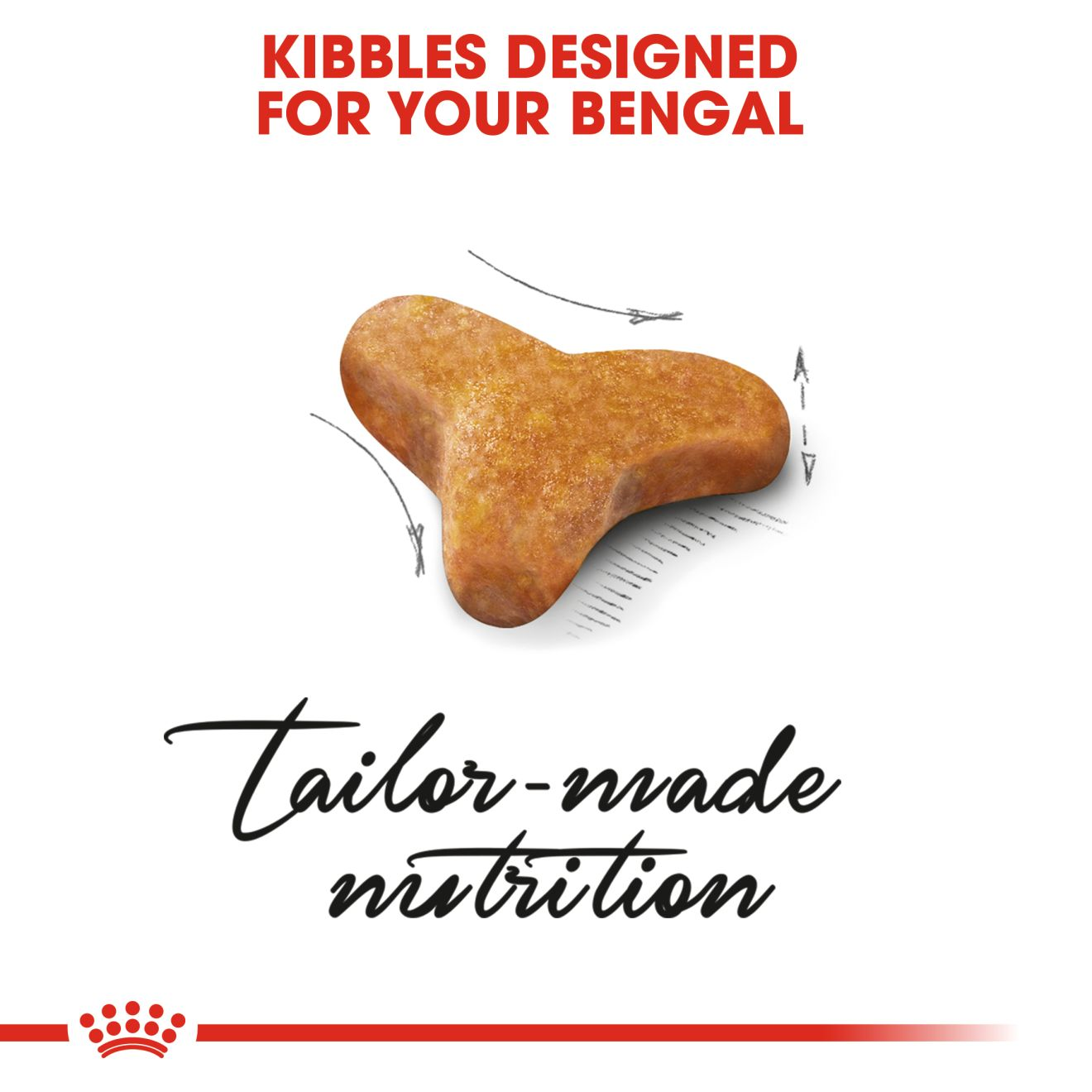 Royal Canin Bengal Adult Dry Cat Food - 400g