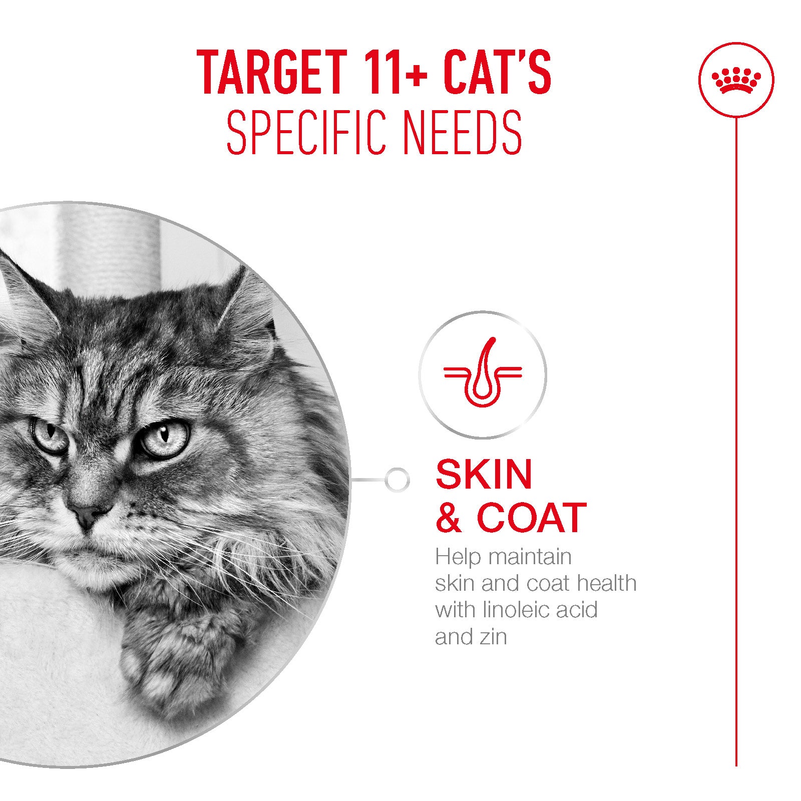 Royal Canin Ageing 11+ Senior Dry Cat Food - 400g, 2kg & 4kg