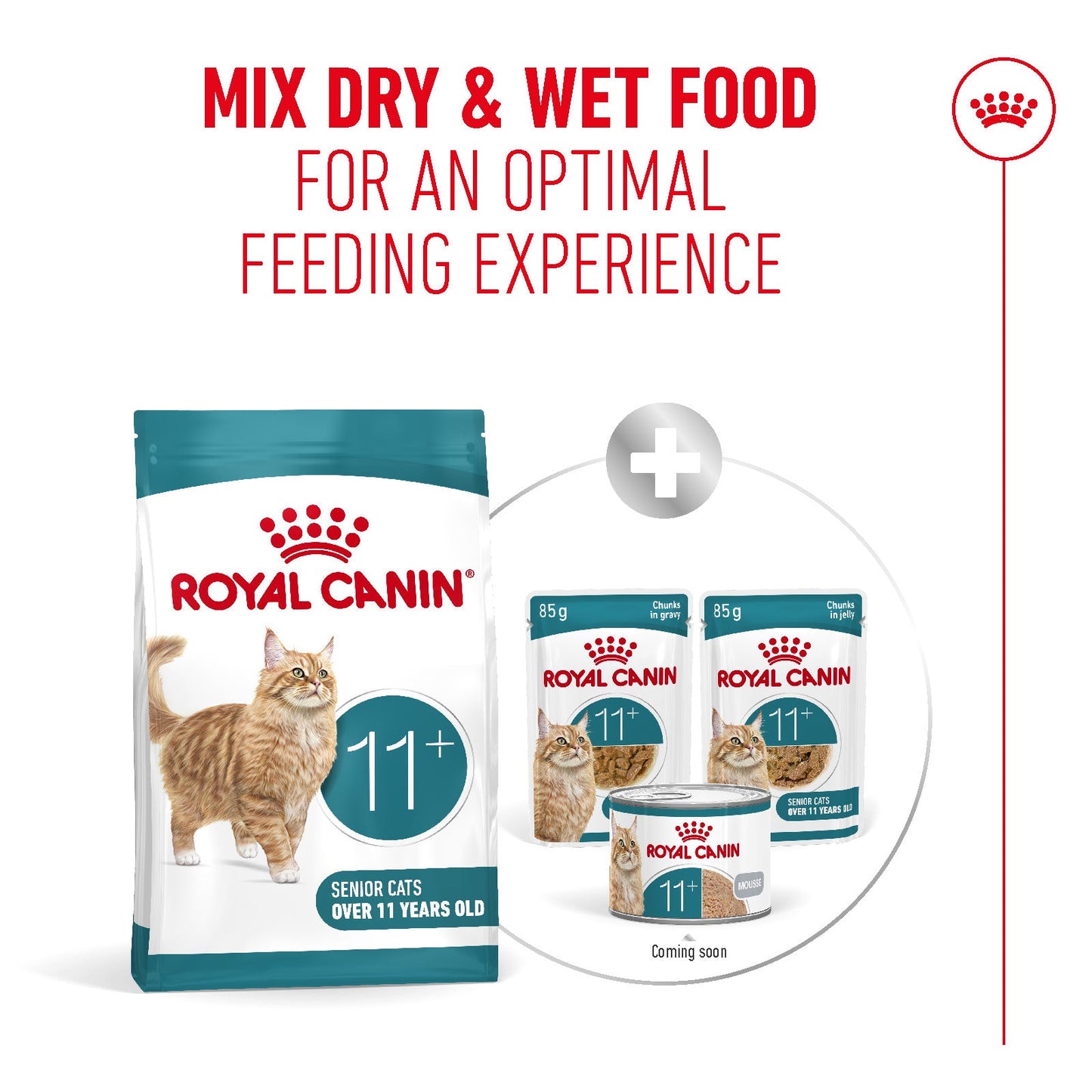 Royal Canin Ageing 11+ Senior Dry Cat Food - 400g, 2kg & 4kg