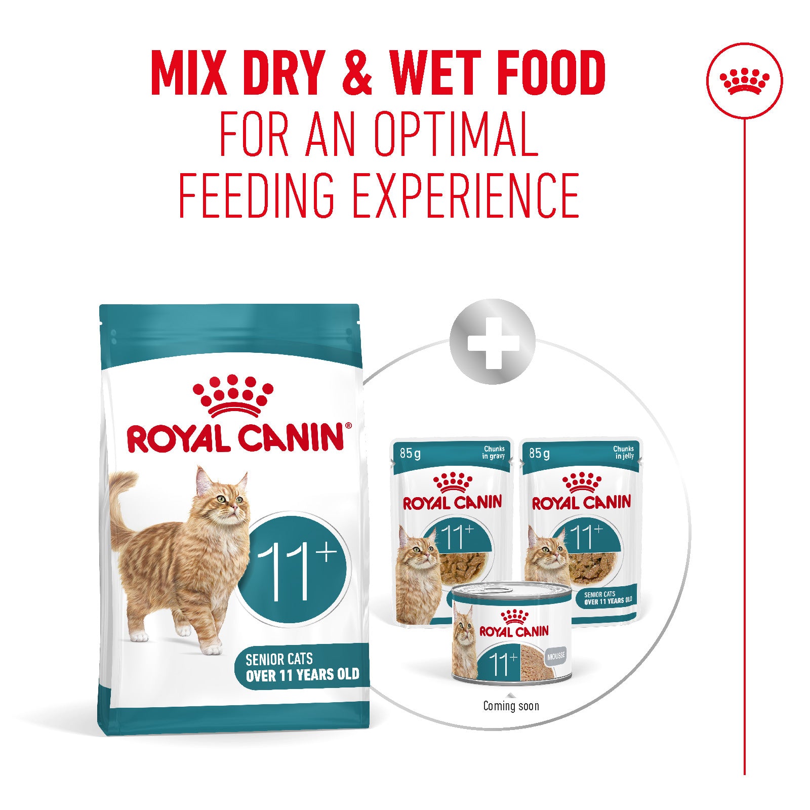 Royal Canin Ageing 11+ Senior Dry Cat Food - 400g, 2kg & 4kg