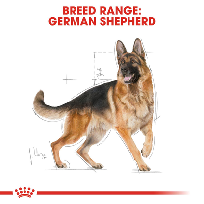 Royal Canin German Shepherd Adult Dry Dog Food - 15kg