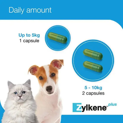 Zylkene® Plus Calming Supplement Capsules For Dogs & Cats