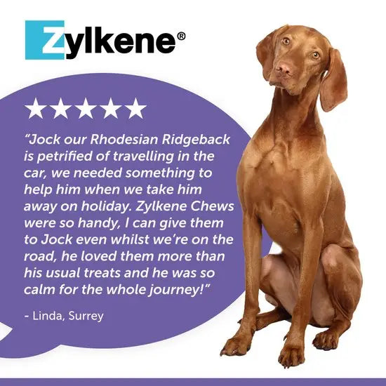 Zylkene® Calming Chews for Dogs