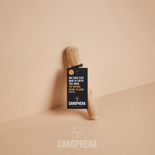 Canophera Coffee Wood Dog Chew Stick
