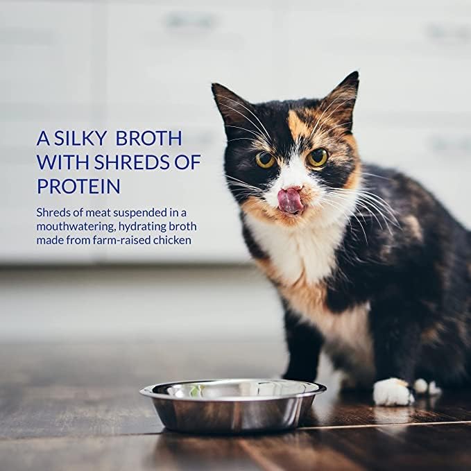 Ciao Broth Cat Treat - Chicken & Tuna Recipe - 40 g