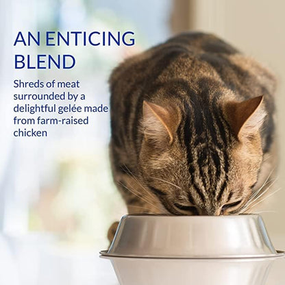 Ciao Stew Cat Treat - Chicken Recipe - 40 g