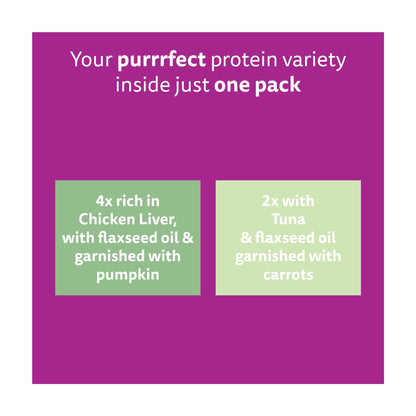 WHISKAS 1+ Superfoods Mixed Selection Wet Cat Food Pouches in Jelly