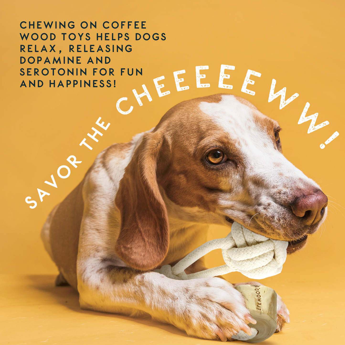 Elkwood Coffee Wood Dumbbell Dog Toy