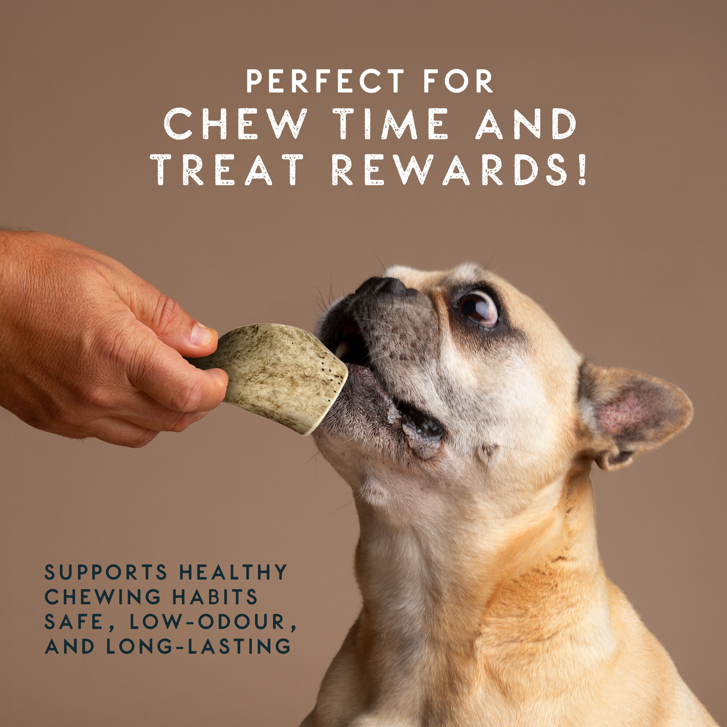 Elkwood 100% Natural Antler Chew | Large