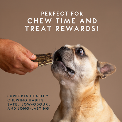 Elkwood 100% Natural Split Antler Chew | Medium