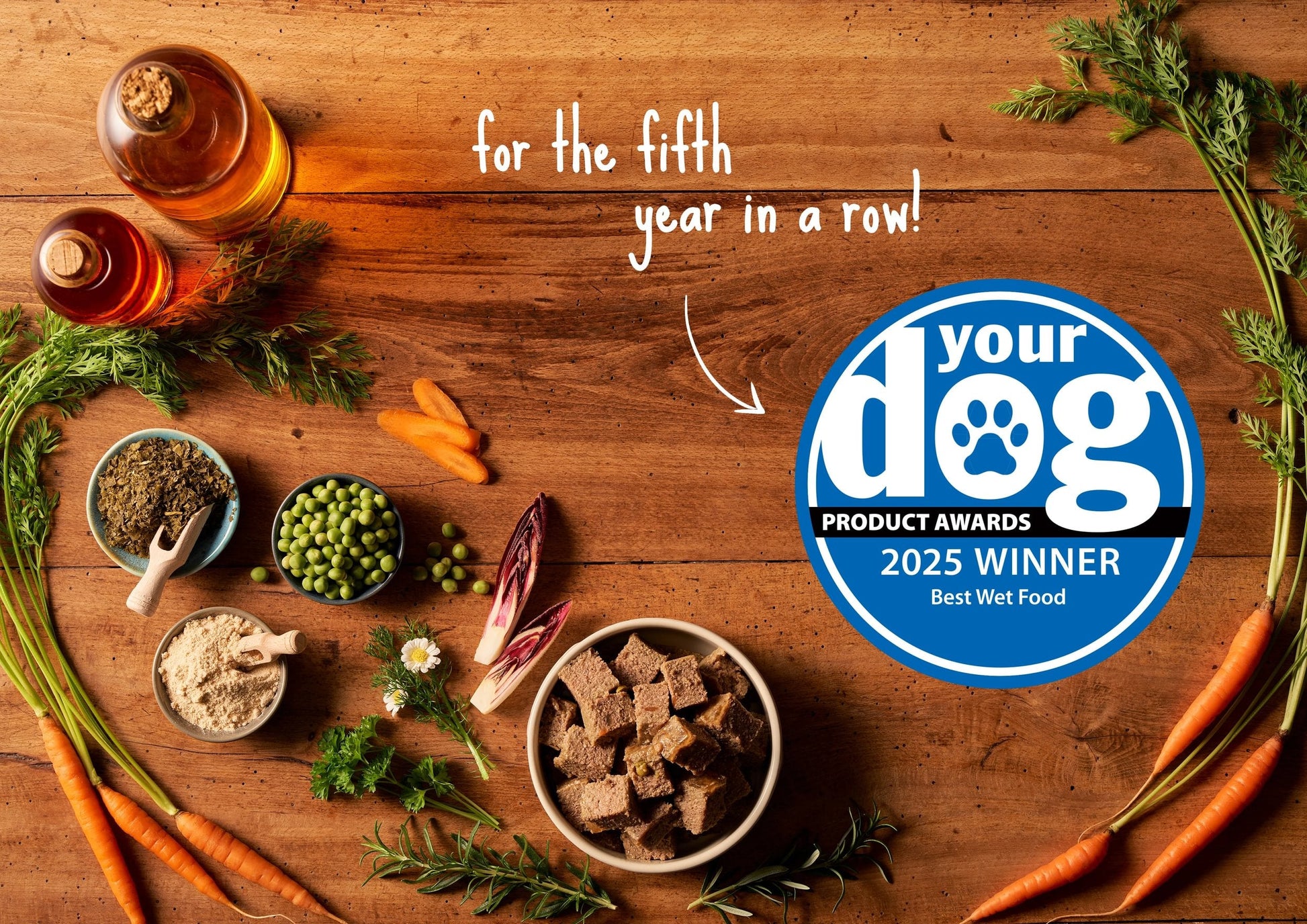 Forthglade Christmas Dinners Grain-free Adult Wet Dog Food - Turkey - 395g