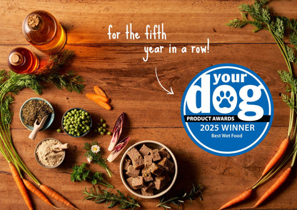 Forthglade Christmas Dinners Grain-free Adult Wet Dog Food - Turkey - 395g