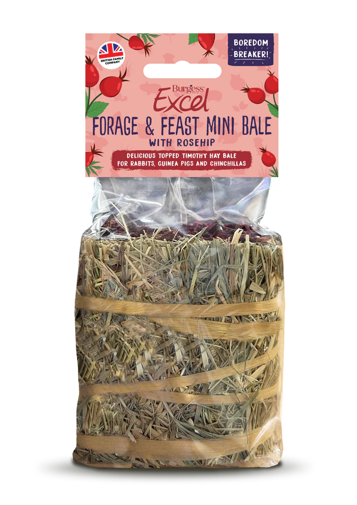 Front View of Burgess Excel Forage and Feast Mini Hay Bale for Rabbit, Guinea Pigs & Chinchilla - Rosehip - 100g