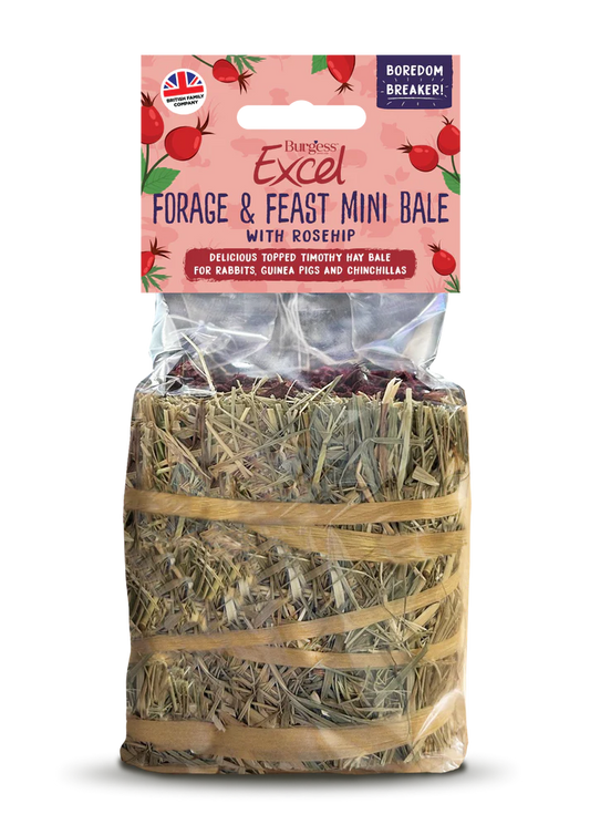 Front View of Burgess Excel Forage and Feast Mini Hay Bale for Rabbit, Guinea Pigs & Chinchilla - Rosehip - 100g